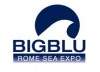 A Roma dal 20 al 28 febbraio il BIG BLU 2010