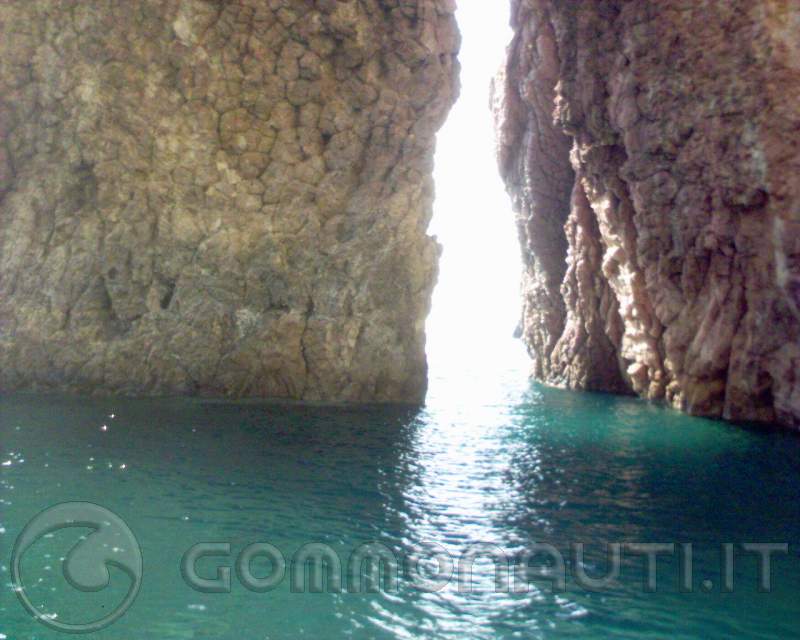 Foto ravvicinata dell