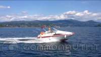 SAVER 540 CABIN FISH + motore Selva Dorado xsr 4 tempi