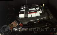 SAVER 540 CABIN FISH + motore Selva Dorado xsr 4 tempi