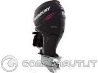 Ranieri Marine Millennum + Mercury Optimax 135 