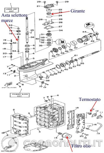 Schema elettrico evinrude 15 cv