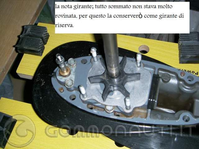 Schema elettrico suzuki df 40