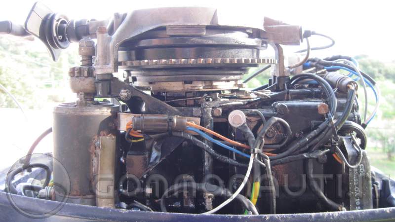 Schema elettrico evinrude 521