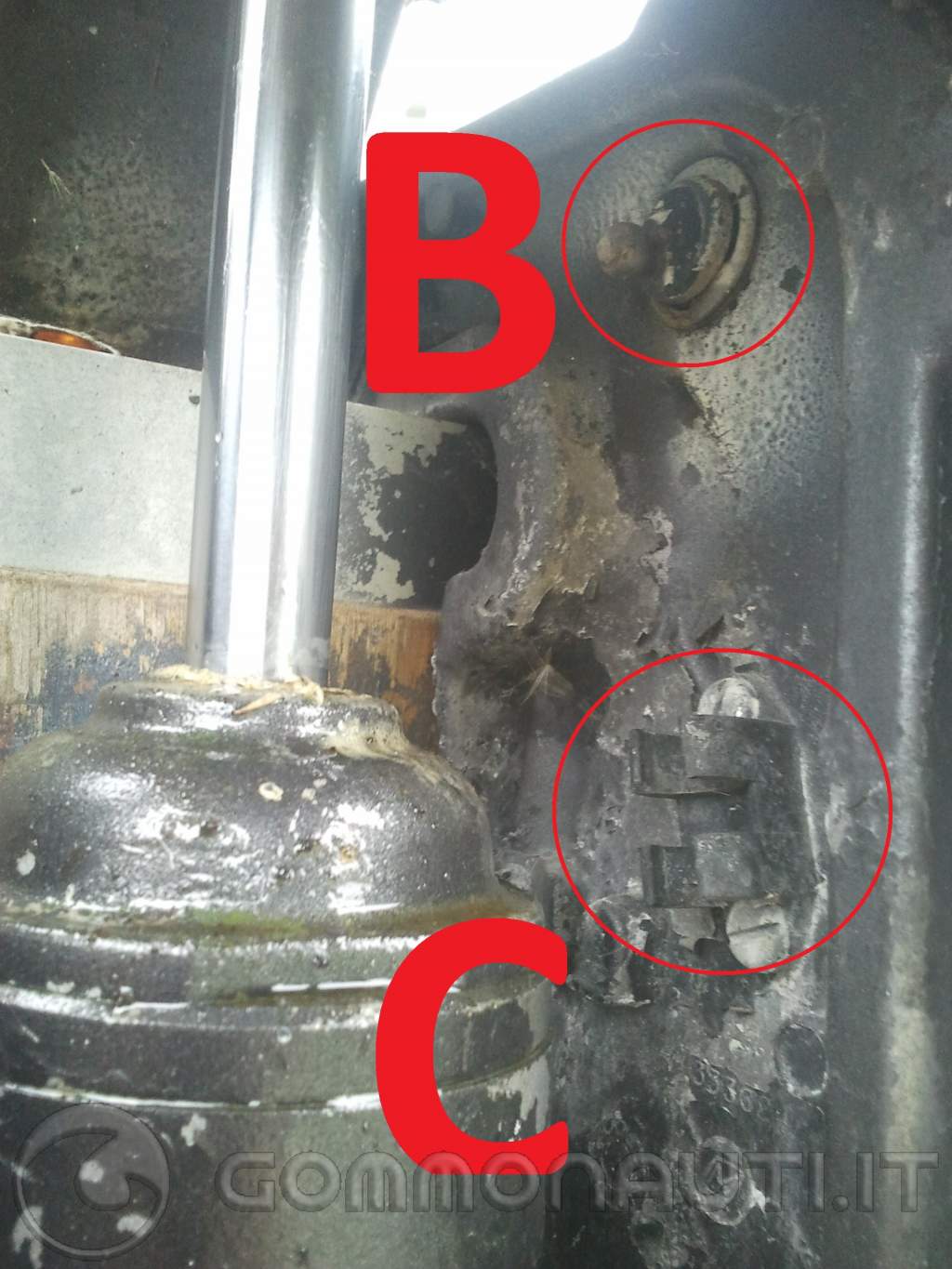 Schema elettrico evinrude 737