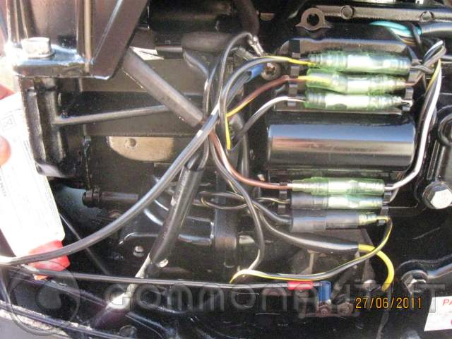 elettrico fuoribordo yamaha