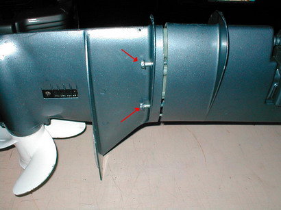 Foto 1: viti