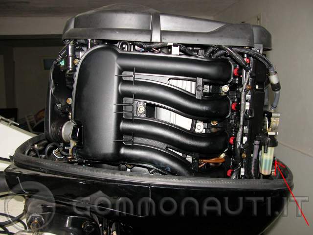 re: Tagliando fai da te per motore mercury 80hp 4 tempi EFI re: Tagliando fai da te per motore mercury 80hp 4 tempi EFI