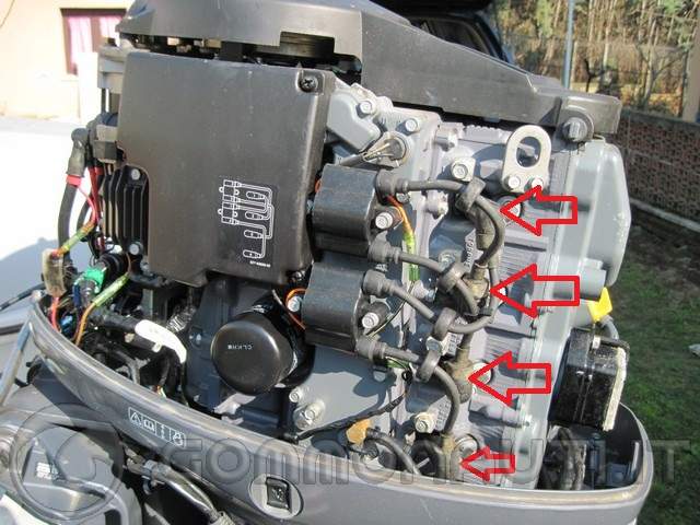 Manutenzione ordinaria Yamaha 40cv 4t CETL 996cc