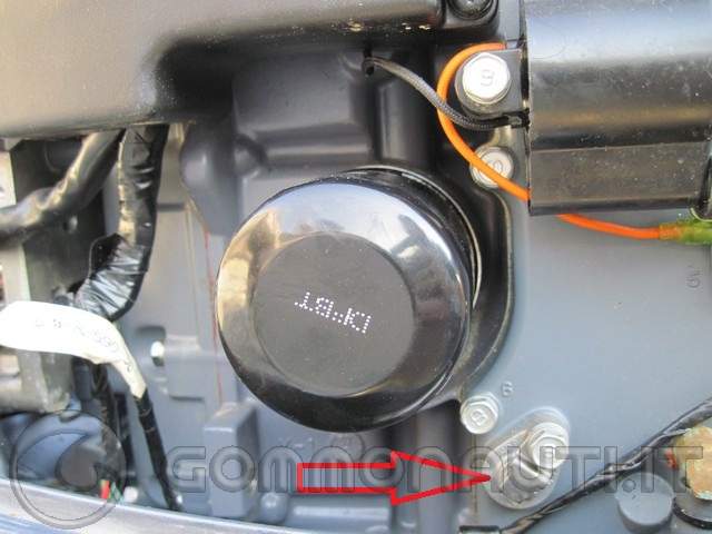 Manutenzione ordinaria Yamaha 40cv 4t CETL 996cc