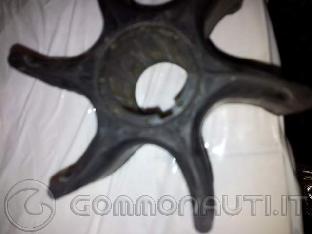re: Yamaha 15 hp del 1985;sostituzione girante.