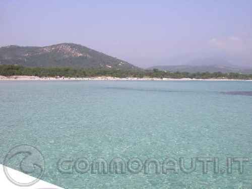 Corsica: giugno 2008