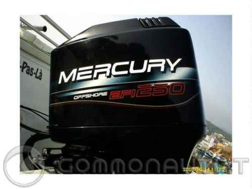 Cerco esperienze su Mercury 150 efi 2t anno 2004