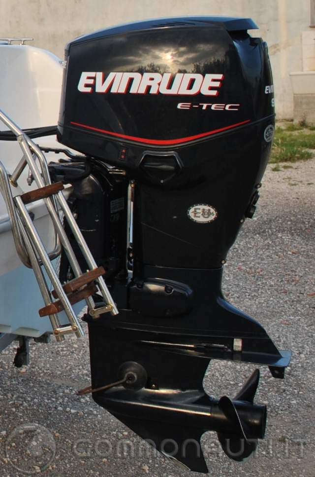 Stator Pour Moteur Evinrude Etec 90cv - Pièce D'occasion, Marque Evinrude