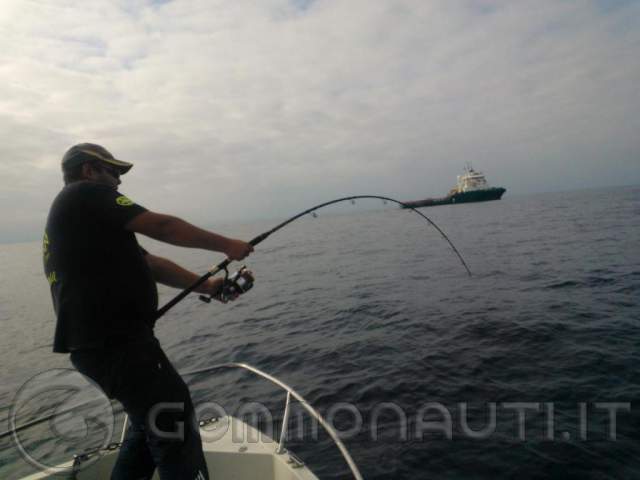 SELVA - Set 12 Grattugie Per Pesca Coniche 0,5-2,0 Mm - Accessori Per Spinning E Canne Da Pesca - 3