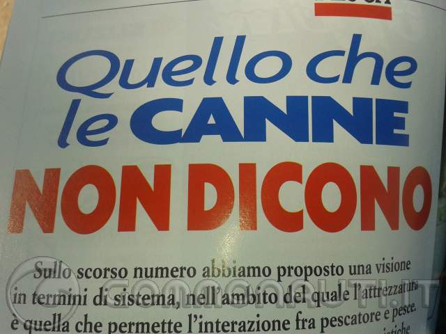 NON SI FINISCE MAI DI IMPARARE.....!! [PAG. 2]