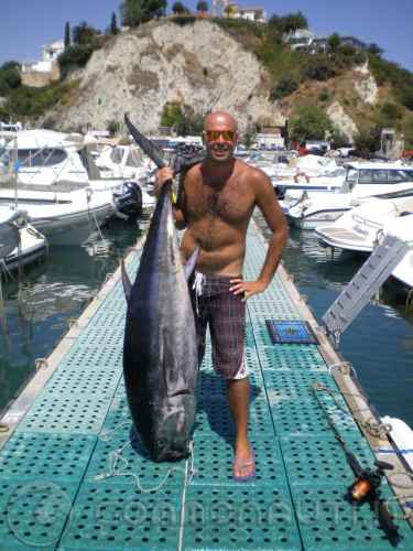 (tonno rosso) apertura pesca adriatico centrale