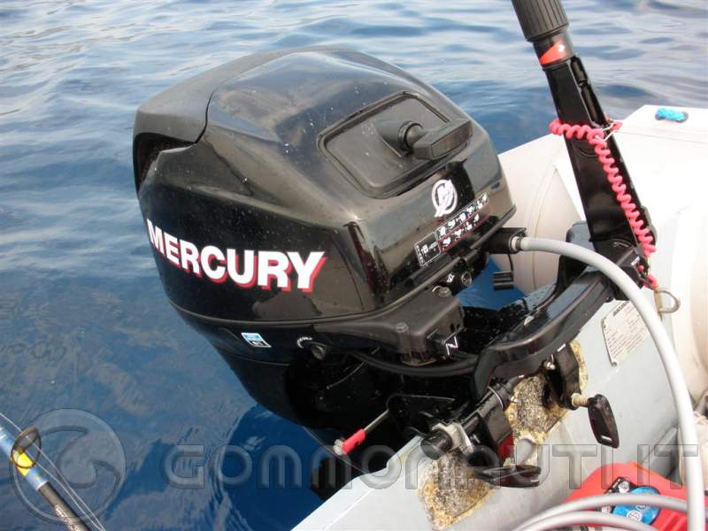 Motore Fuoribordo 4 Tempi 4 CV – Benzina 55 CC Con Raffreddamento Ad Aria – Per Gommone E Barca Da Pesca - 2