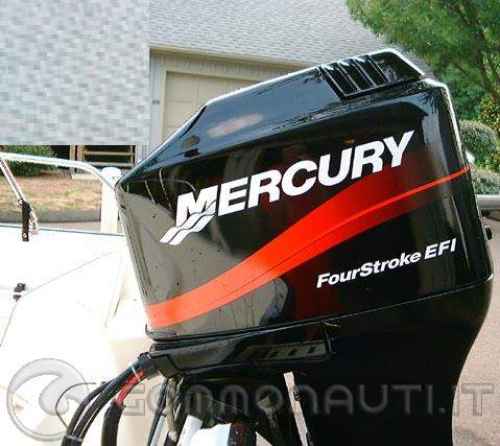 Vendo motore 115 mercury 4 tempi