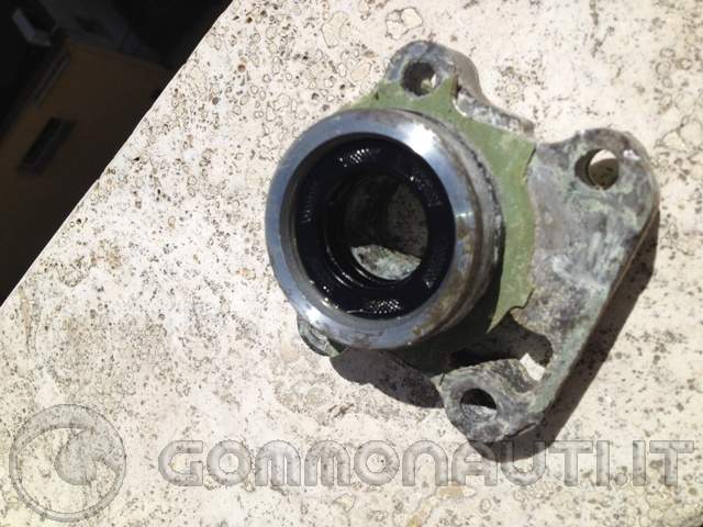 Sostituzione girante e paraoli gruppo pompa del Selva Yamaha F100