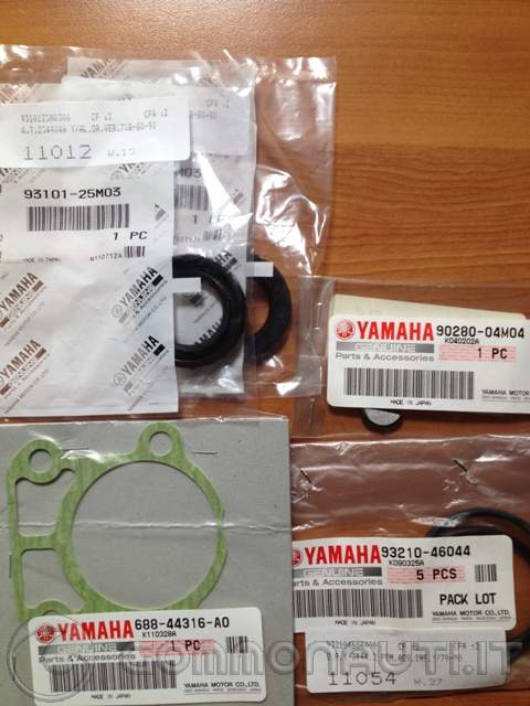 Sostituzione girante e paraoli gruppo pompa del Selva Yamaha F100