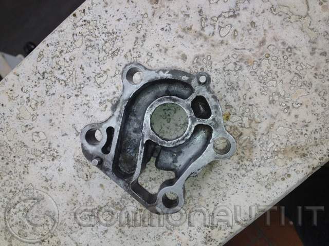 Sostituzione girante e paraoli gruppo pompa del Selva Yamaha F100