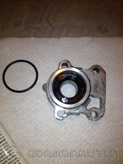 Sostituzione girante e paraoli gruppo pompa del Selva Yamaha F100