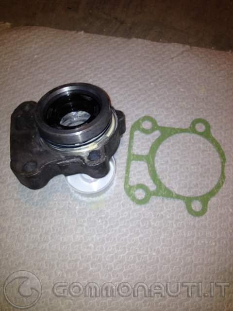 Sostituzione girante e paraoli gruppo pompa del Selva Yamaha F100