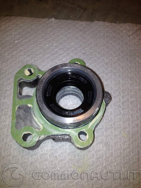 Sostituzione girante e paraoli gruppo pompa del Selva Yamaha F100