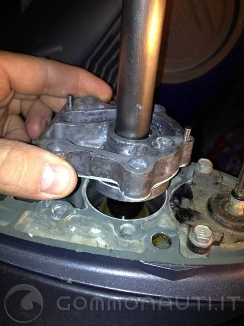 Sostituzione girante e paraoli gruppo pompa del Selva Yamaha F100