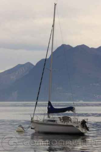 Vendesi Affitto boa per i mesi estivi a Baveno (Lago Maggiore)