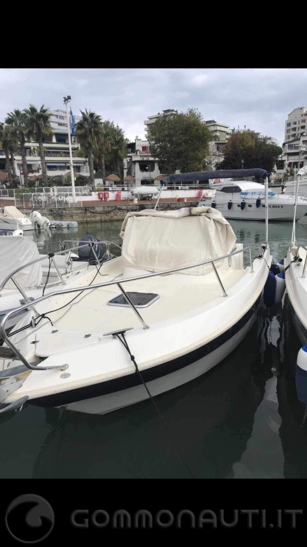 re: Suzuky 175 cv o Honda bf 200