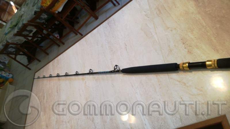 Canne Italcanna Little Blue - Fiche Produit Top Fishing