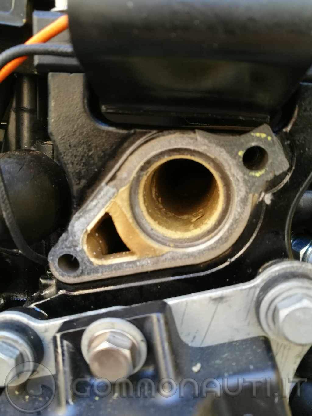 Guarnizione alloggiamento termostato Fiat 124 Berlina acquista pezzi di