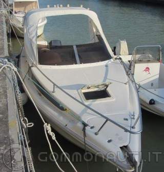 [Coverline 640 + Johnson 150hp] Consiglio acquisto usato