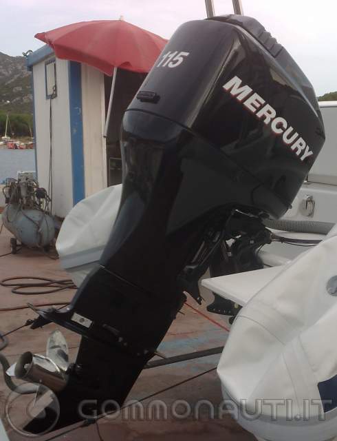 Vendo Mercury 115 EFI 4T gambo XL anno 2006 in ottime condiz
