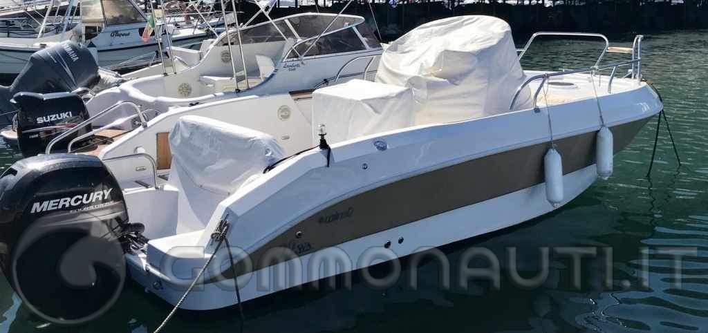 Vendo MIMI 22 WA con Mercury 150 cv anno 2017