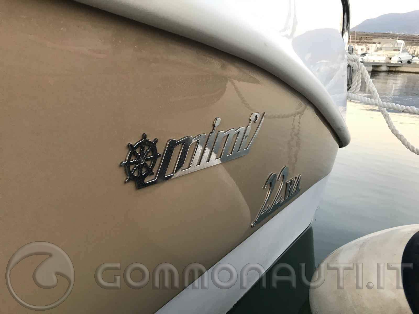 Vendo MIMI 22 WA con Mercury 150 cv anno 2017