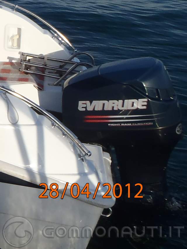Evinrude HPF PRO 1LT Olio piede fuoribordo | Nautica Basile