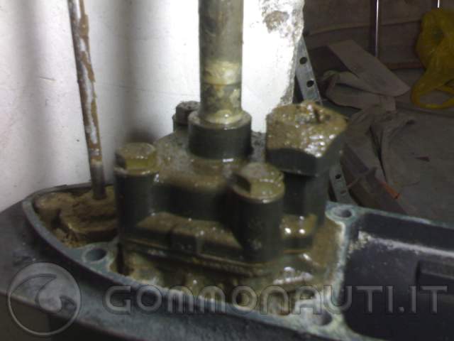 Sostituzione girante Thoatsu mega 40 HP