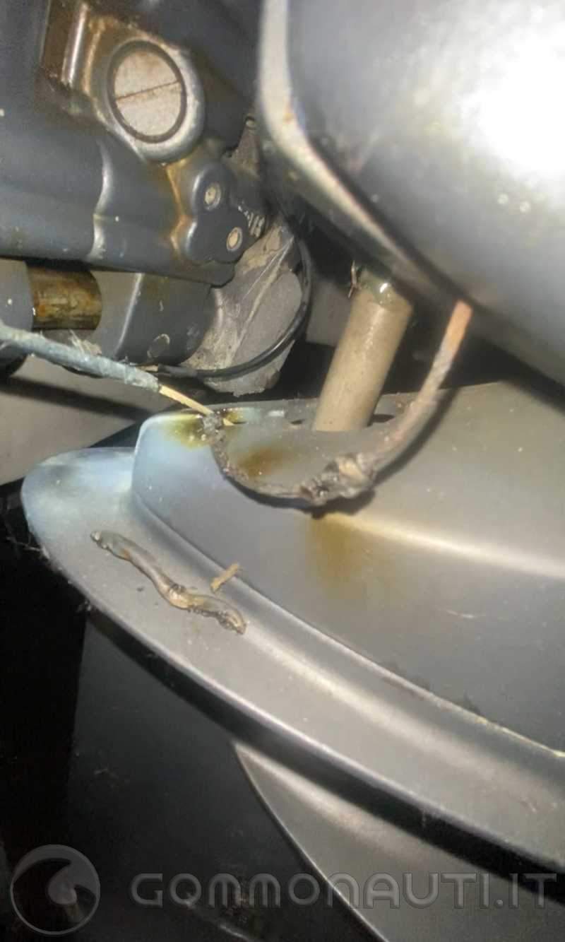 re: Collegamento NMEA dal bus yamaha