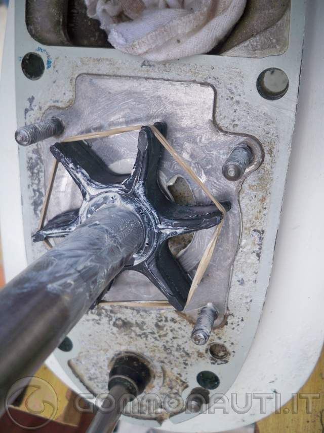 sostituzione girante johnson 40cv 4 tempi del 2004 - tutorial