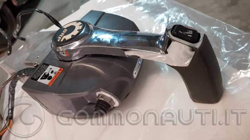 Monoleva Evinrude E Tec a chiesuola [Barletta]