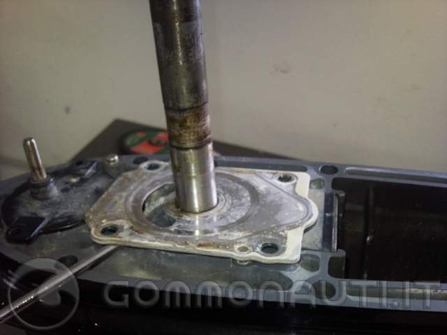Manutenzione e tagliando Suzuki 175 HP