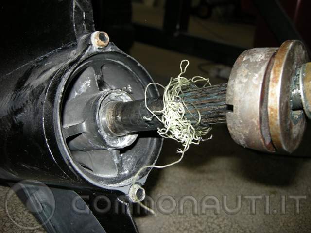 Manutenzione e tagliando Suzuki 175 HP