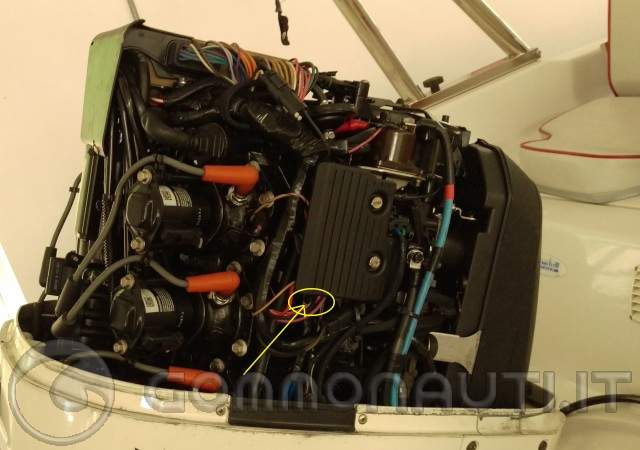 re: Ripartitore su Evinrude ficht ram 150 cv