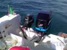 Varo barca wellcraft con mercury 200 (foto)