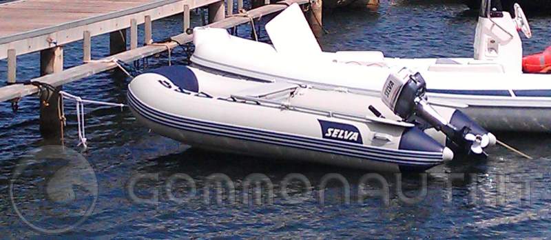 Selva 310 Vib + Selva Black Bass Big Foot 8cv - Garanzia residua 3 anni