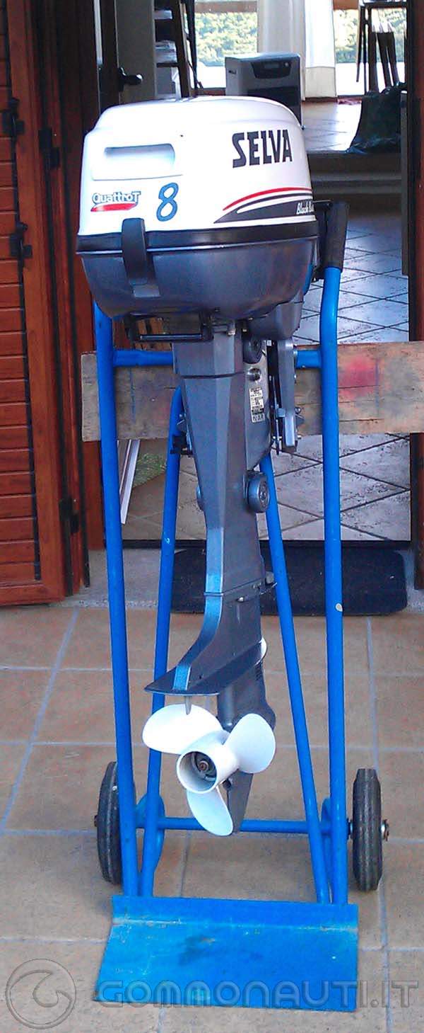 Selva 310 Vib + Selva Black Bass Big Foot 8cv - Garanzia residua 3 anni