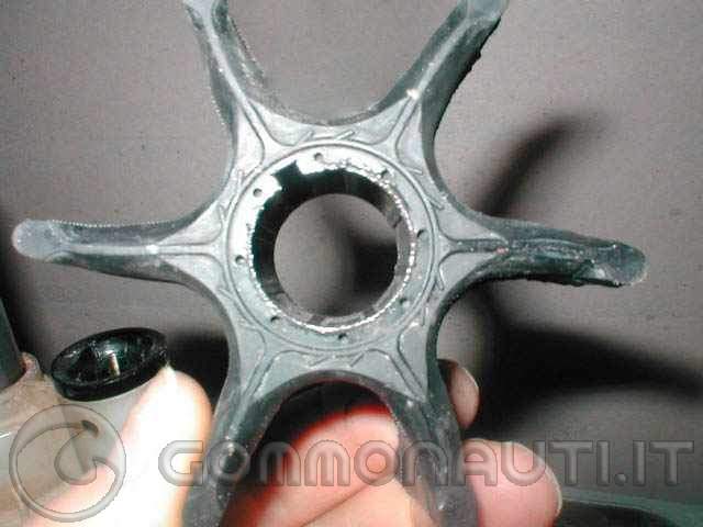Sostituzione girante Yamaha 115 AET 4 tempi